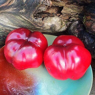 Pimiento siers (Пимьенто cыр)